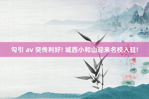 勾引 av 突传利好! 城西小和山迎来名校入驻!