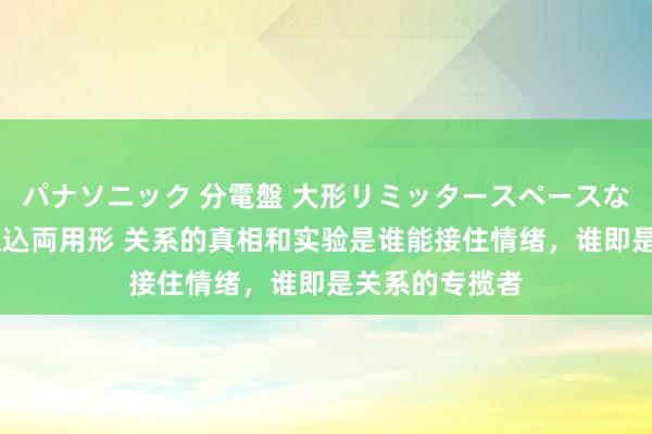 パナソニック 分電盤 大形リミッタースペースなし 露出・半埋込両用形 关系的真相和实验是谁能接住情绪，谁即是关系的专揽者