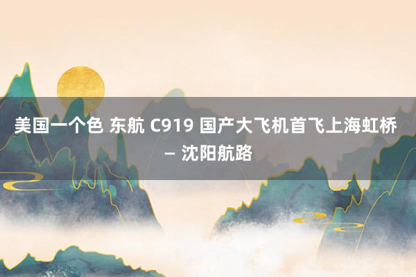 美国一个色 东航 C919 国产大飞机首飞上海虹桥 — 沈阳航路